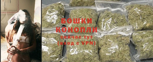 индика Инта
