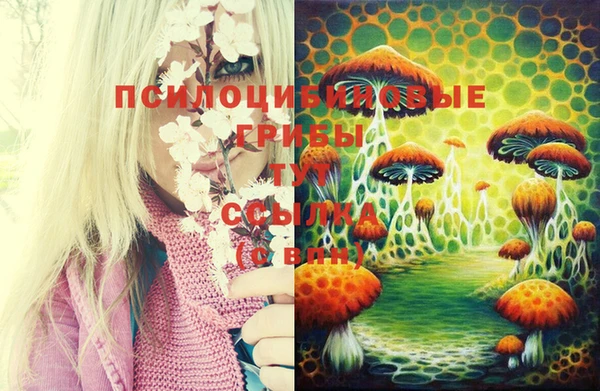 первитин Балабаново